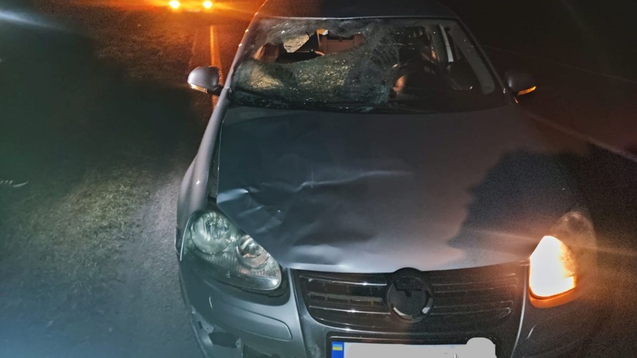 Фото до новини