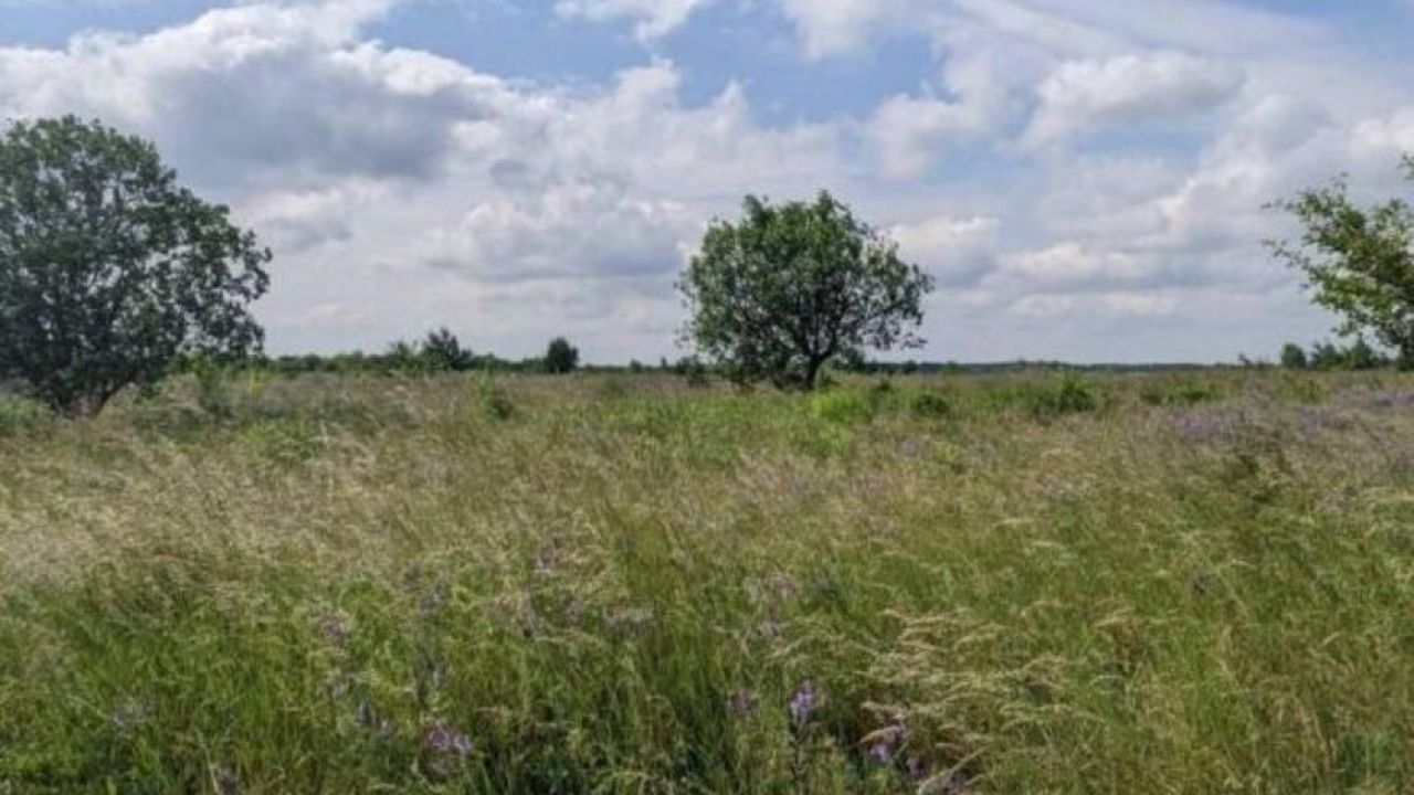 Фото до новини