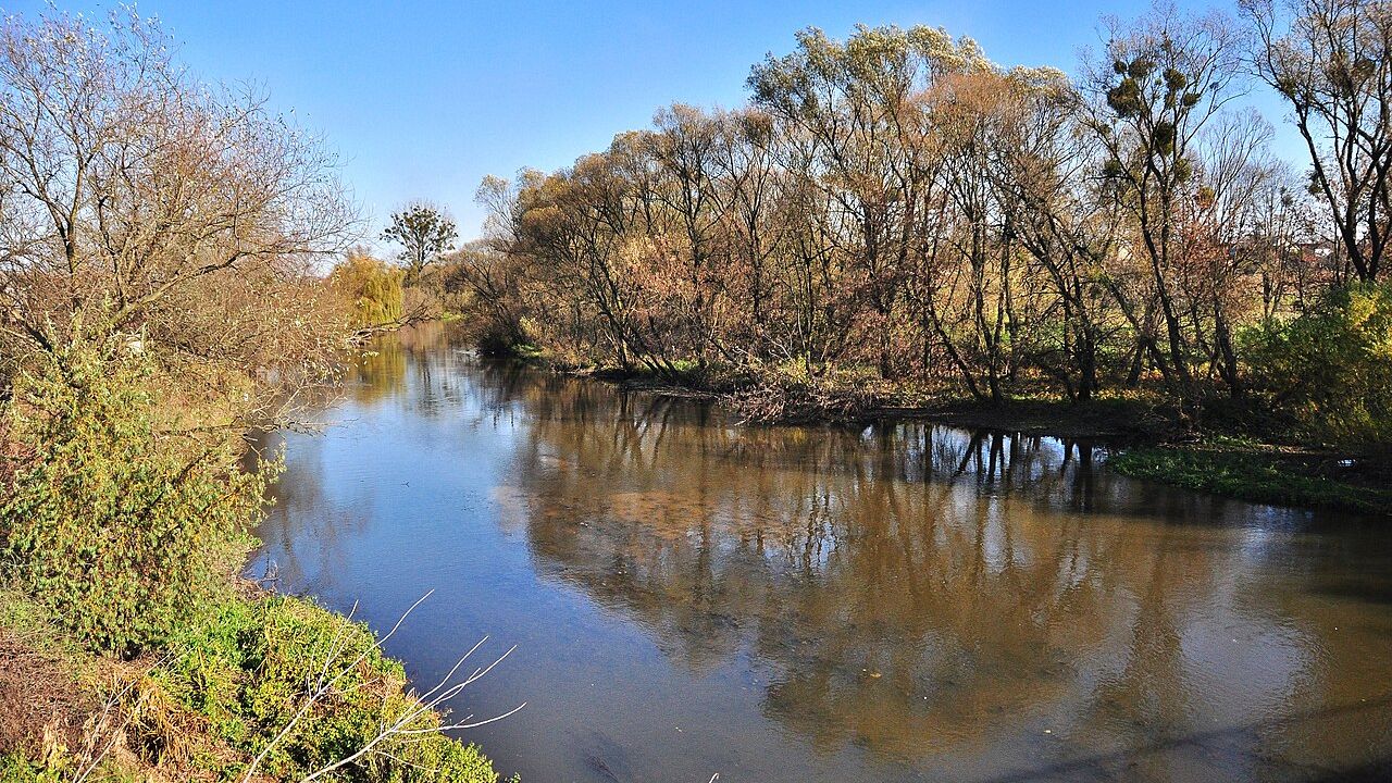 Фото до новини