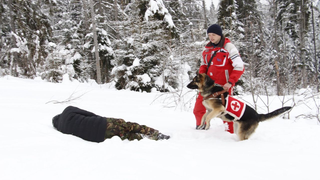 Світлина з архіву
