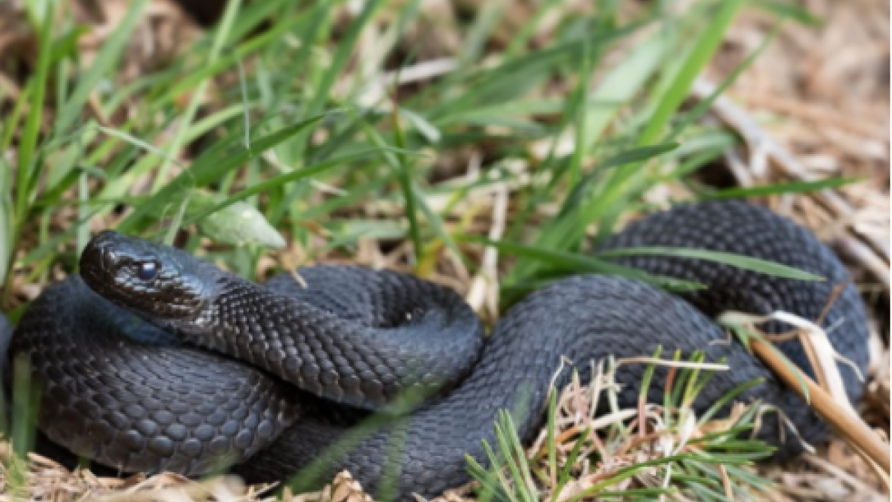 Світлина ілюстративна