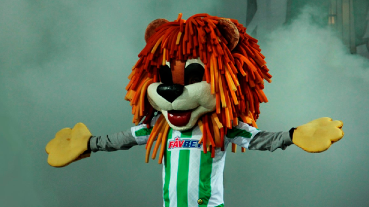 Фото до новини