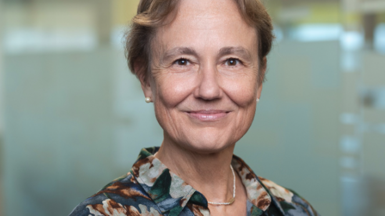 Фото до новини