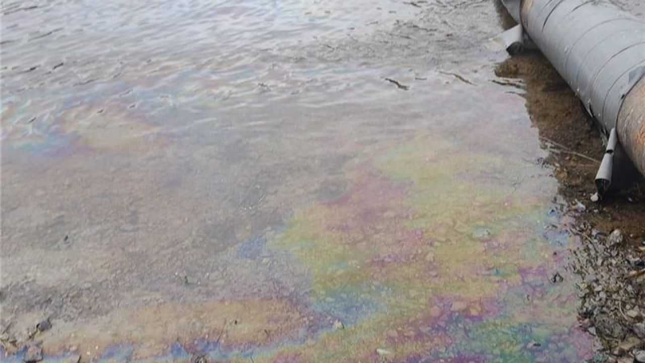 Фото до новини