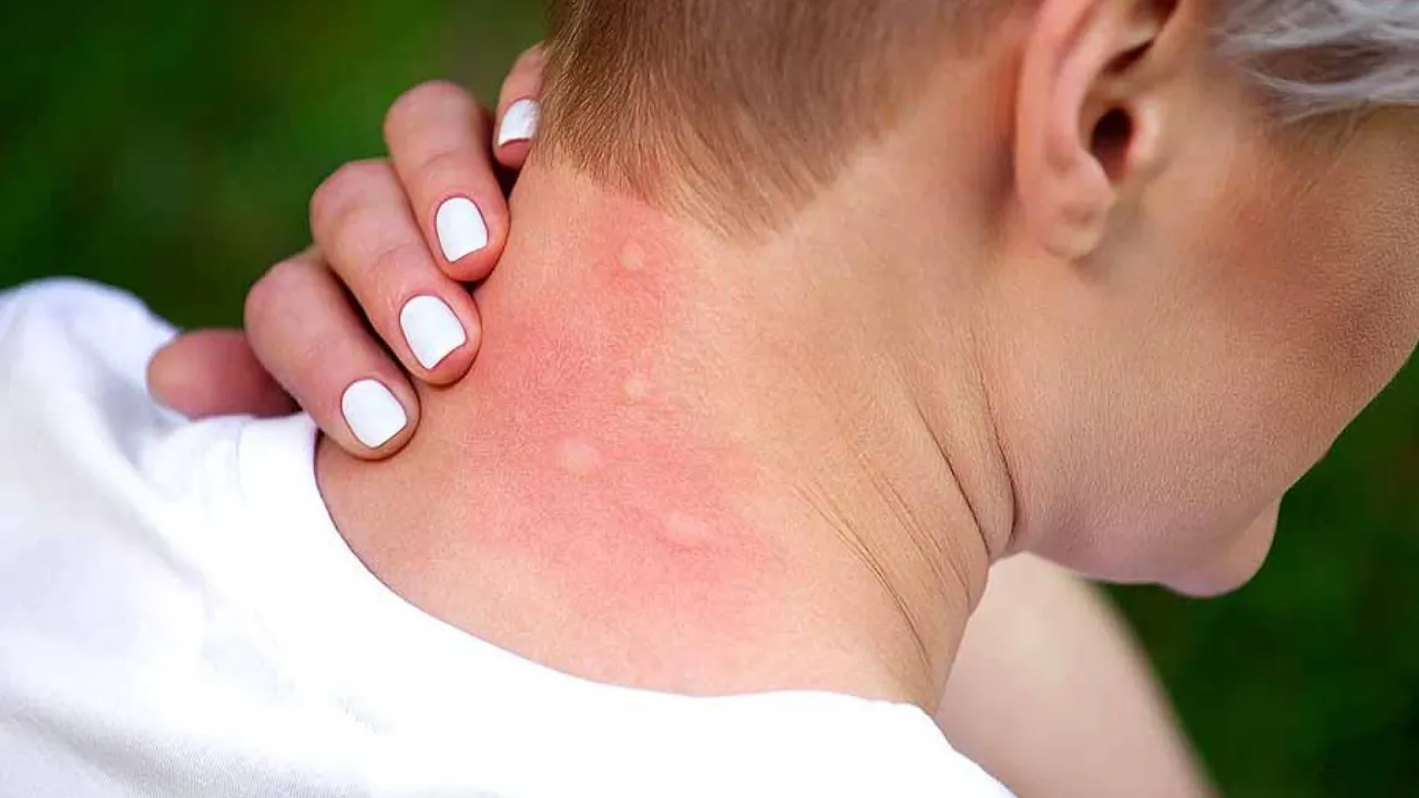 Фото до новини