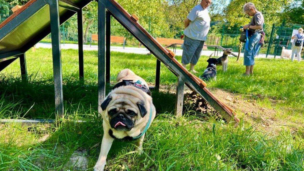 Фото до новини