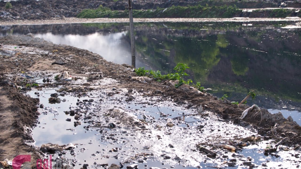 Фото до новини