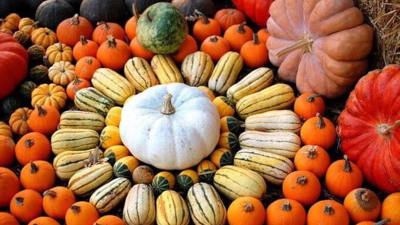 Фото до новини