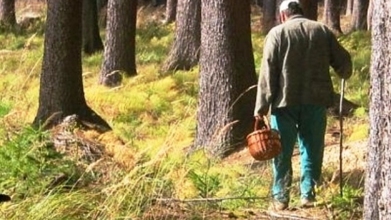 Фото до новини