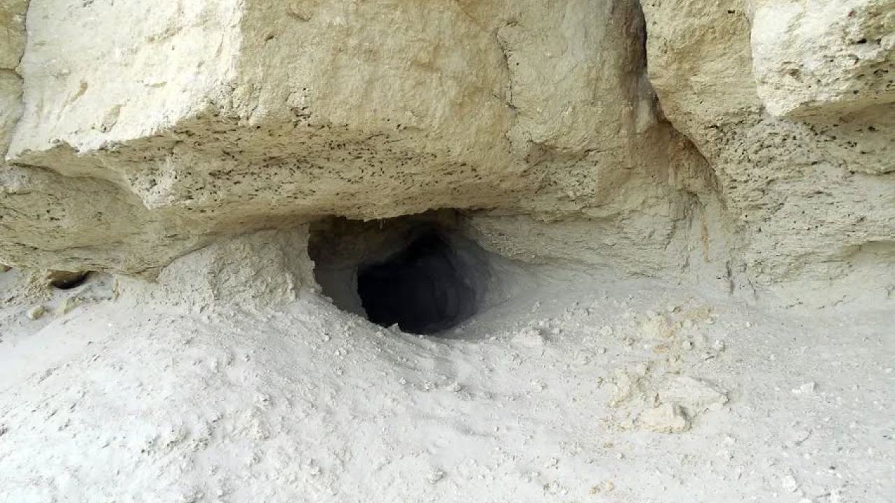 Фото до новини