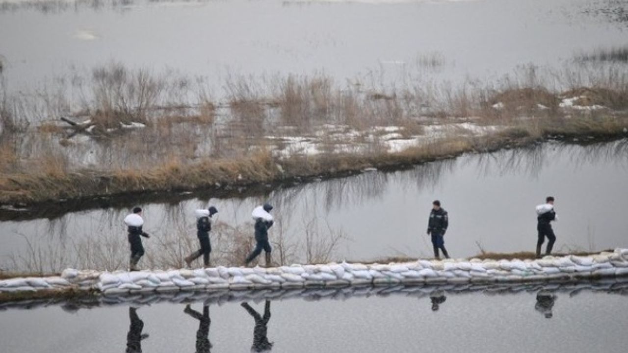 Фото до новини