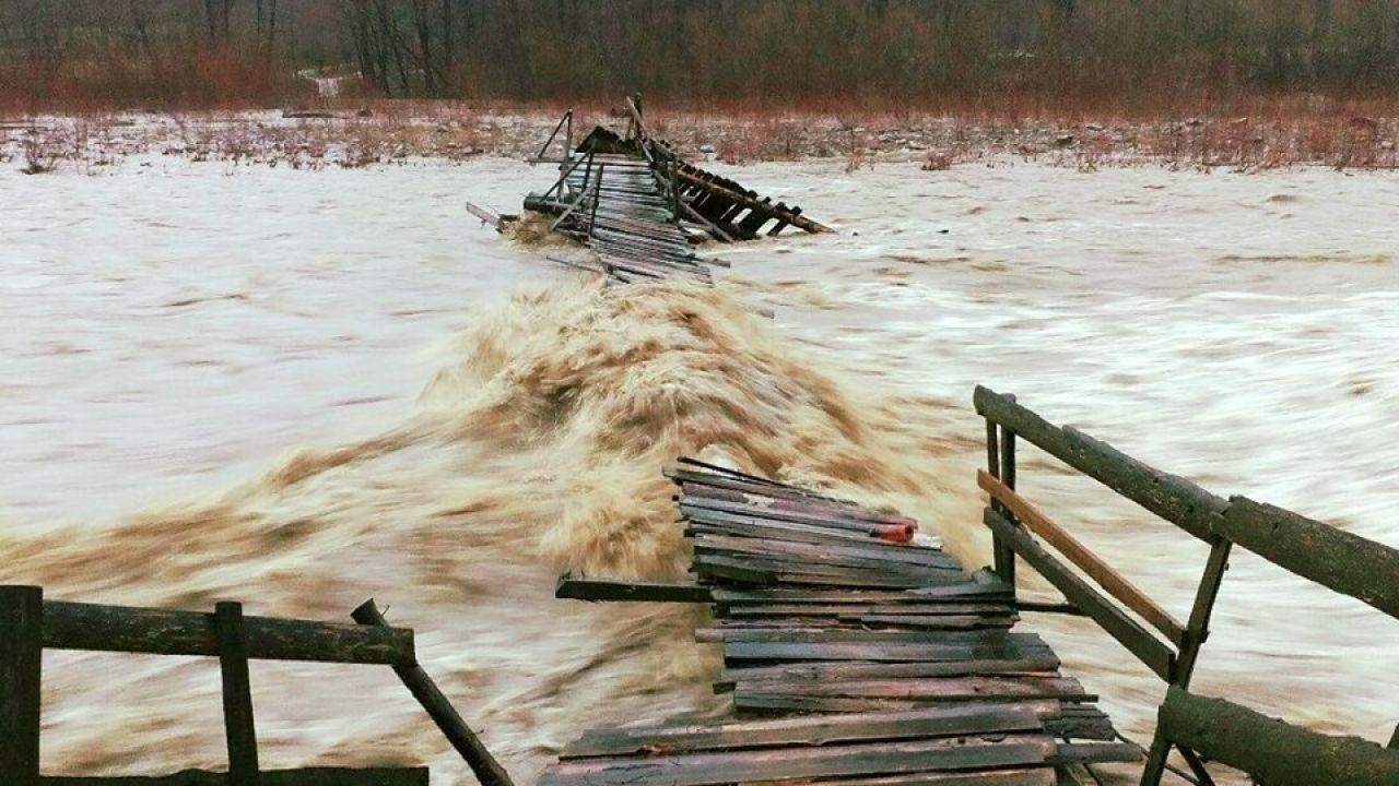 Фото до новини