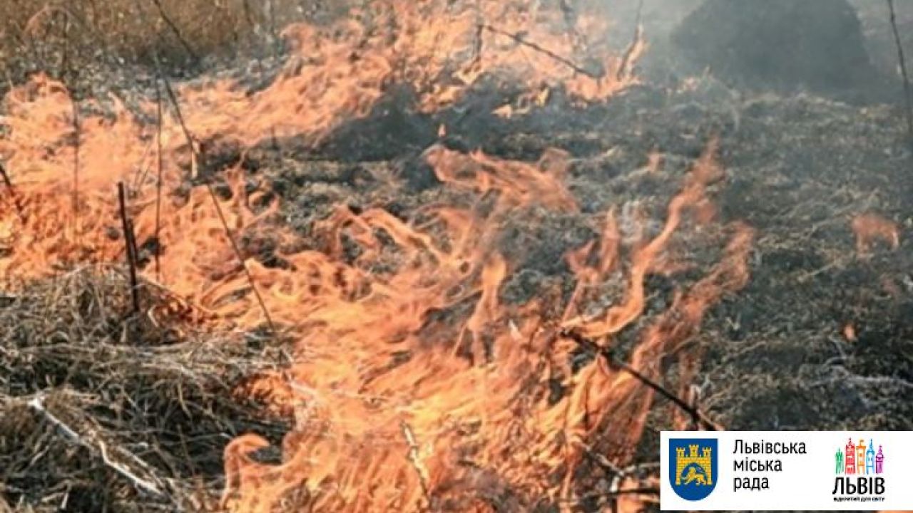 Фото до новини