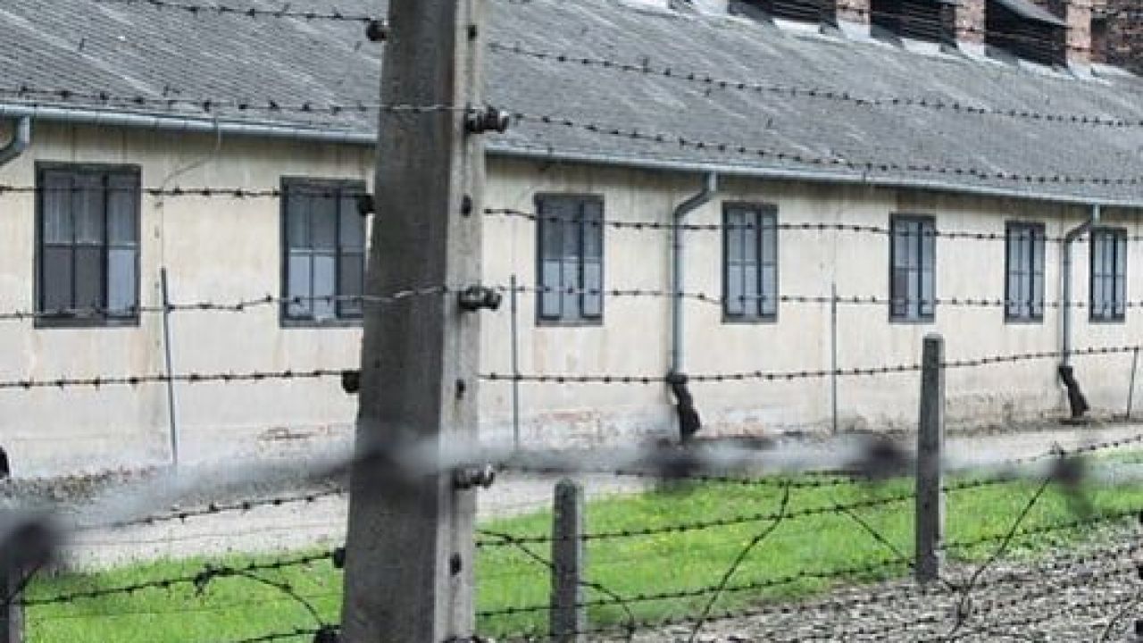 Світлина ілюстративна