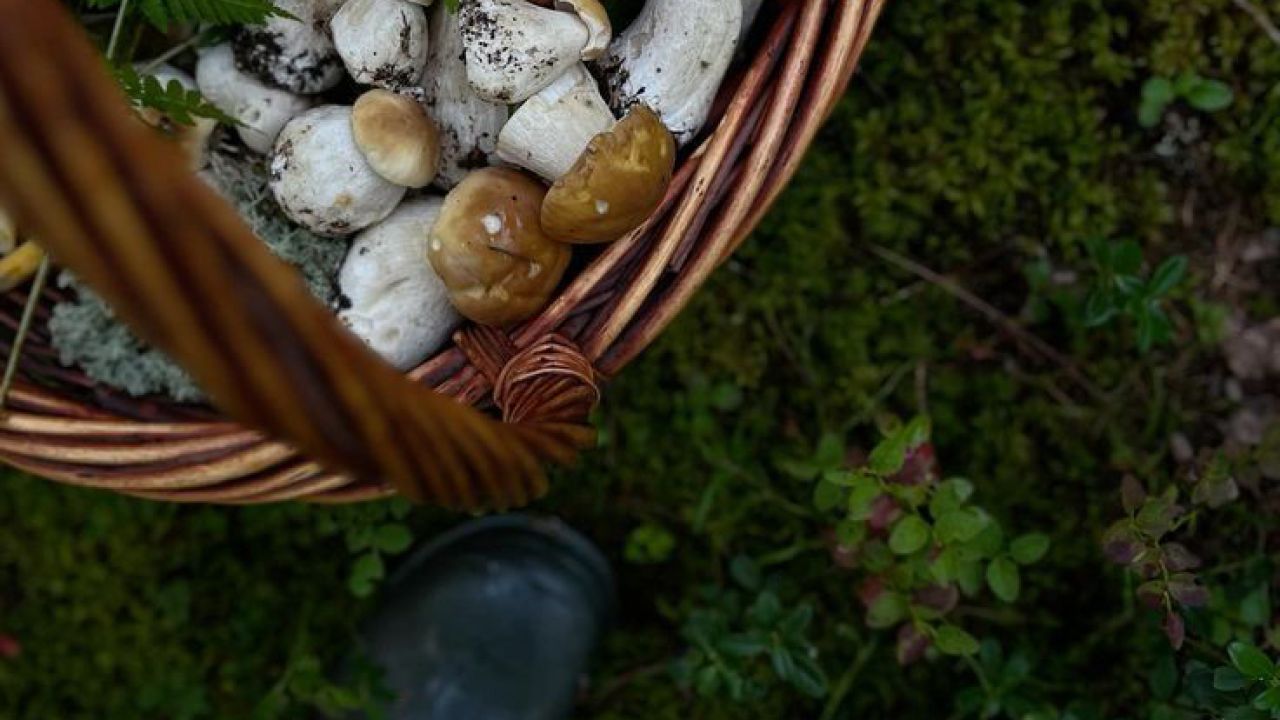 Фото до новини