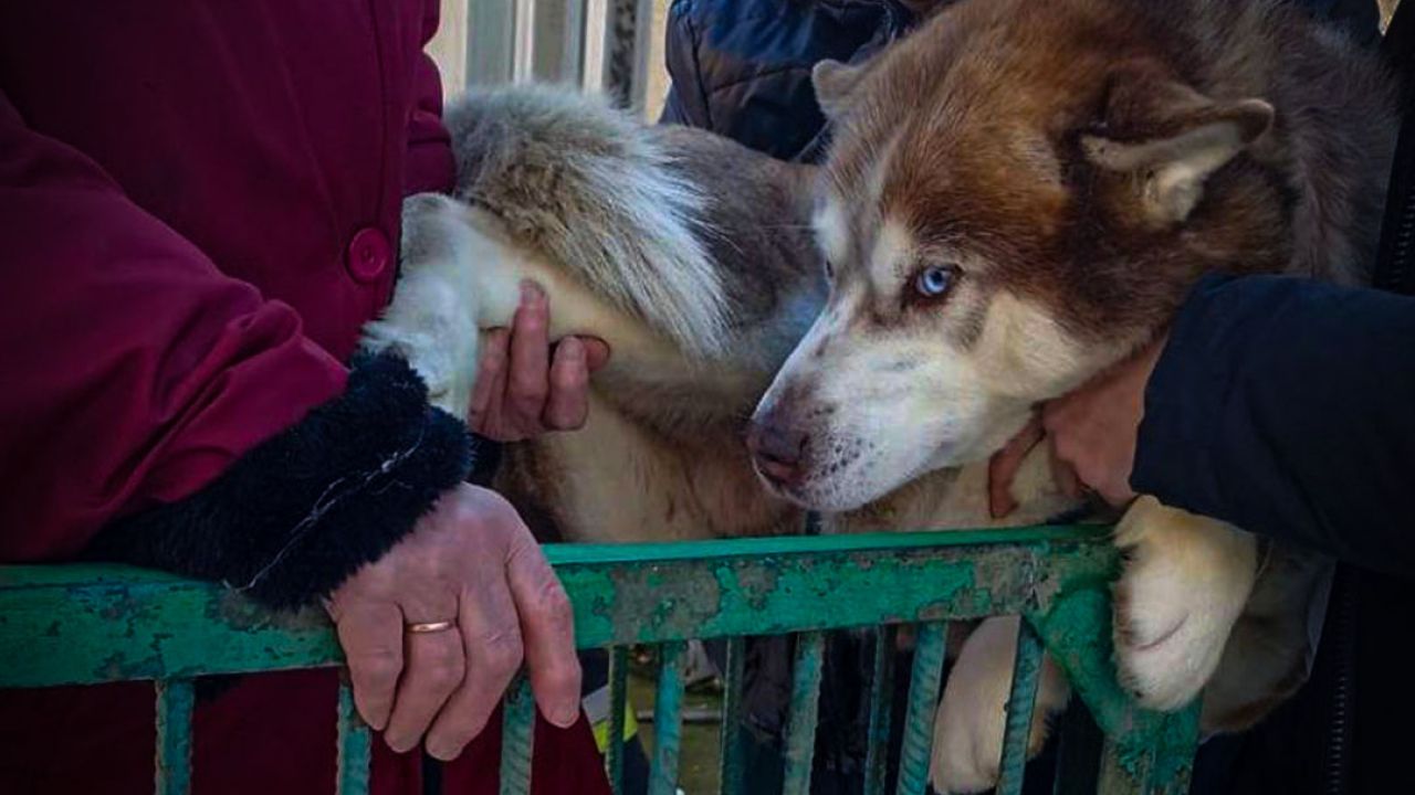 Фото до новини