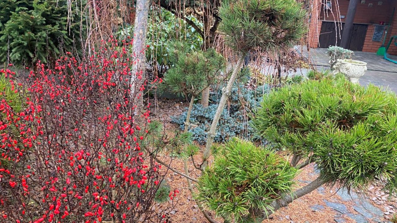 Фото до новини