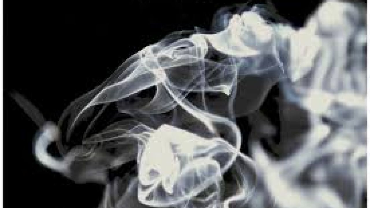 Фото до новини