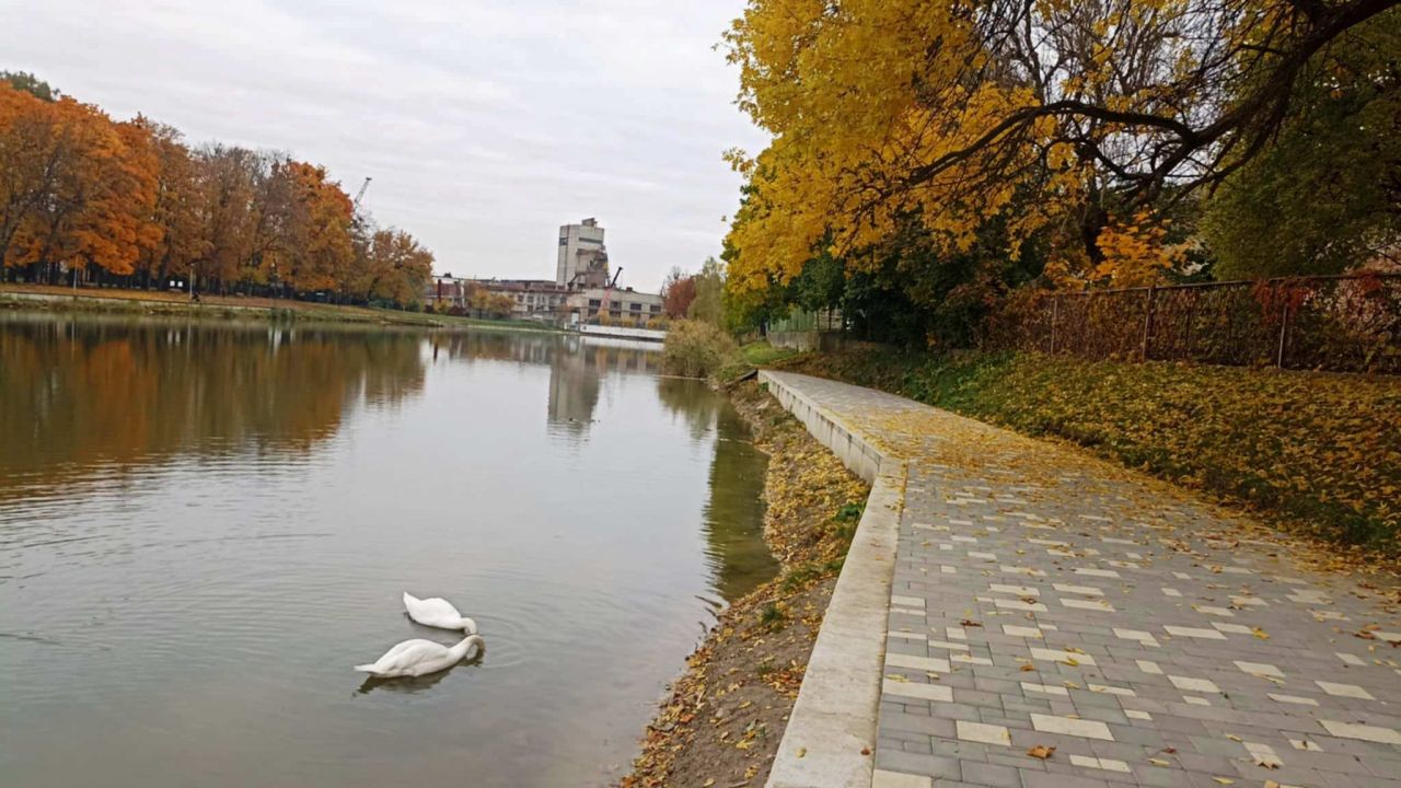 Фото до новини