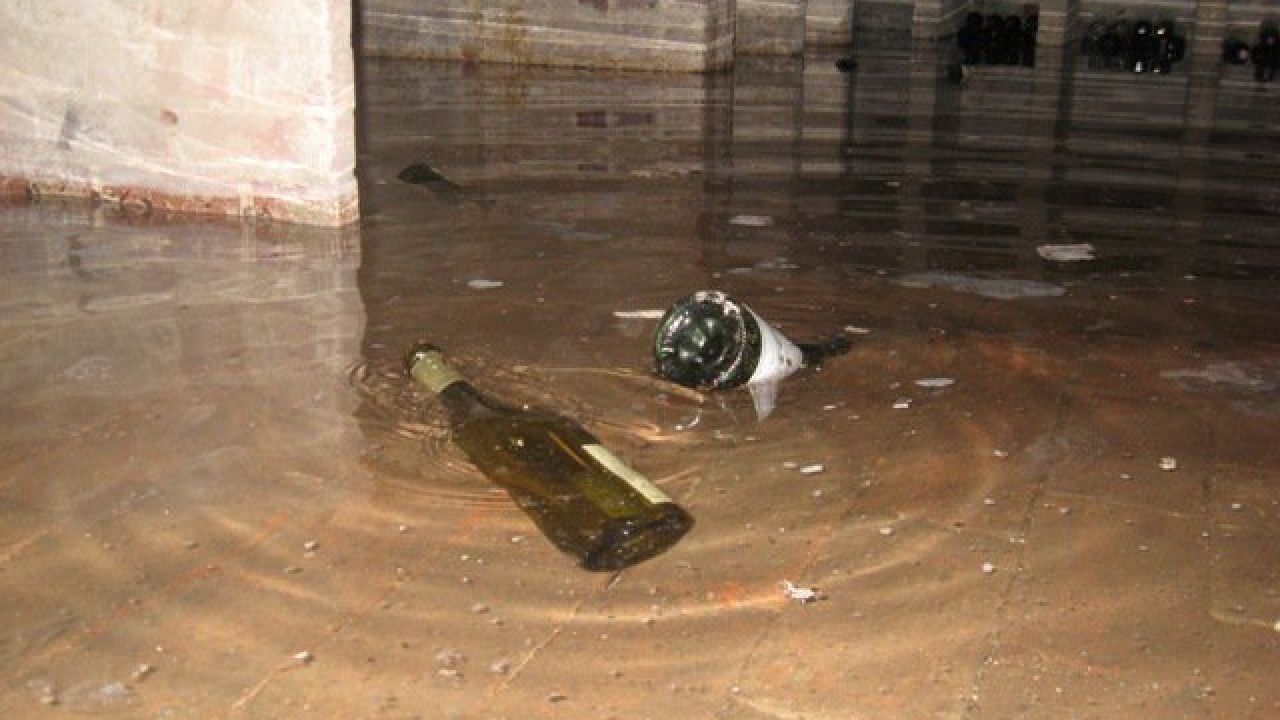 Фото до новини