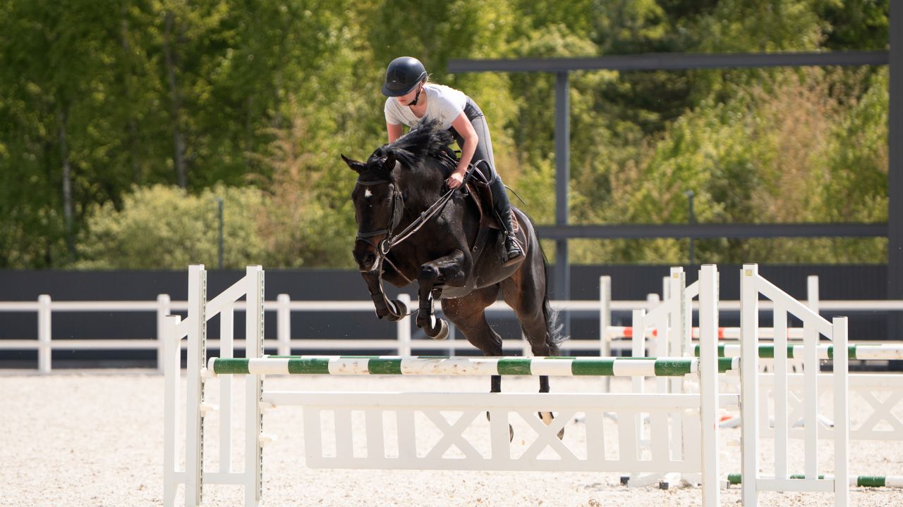 Фото до новини