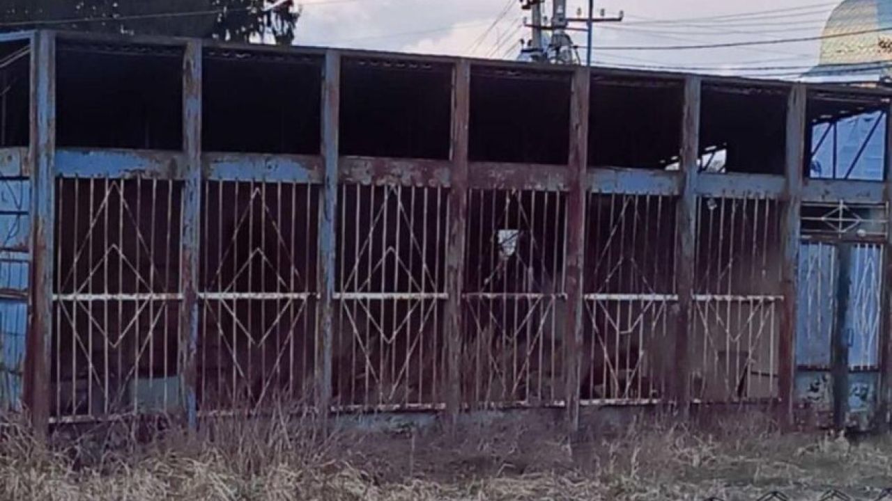 Фото до новини