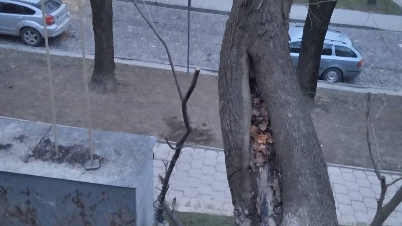 Фото до новини