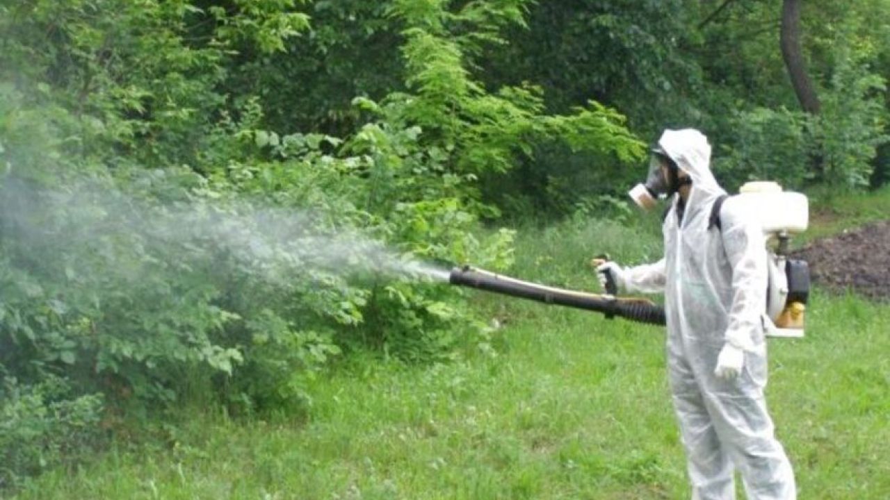 Фото до новини