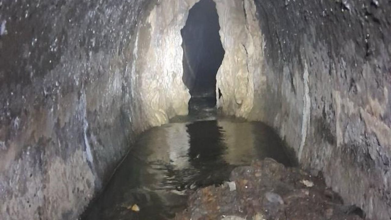 Фото до новини