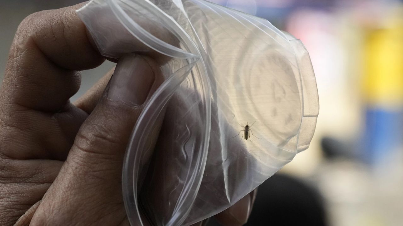 Фото до новини