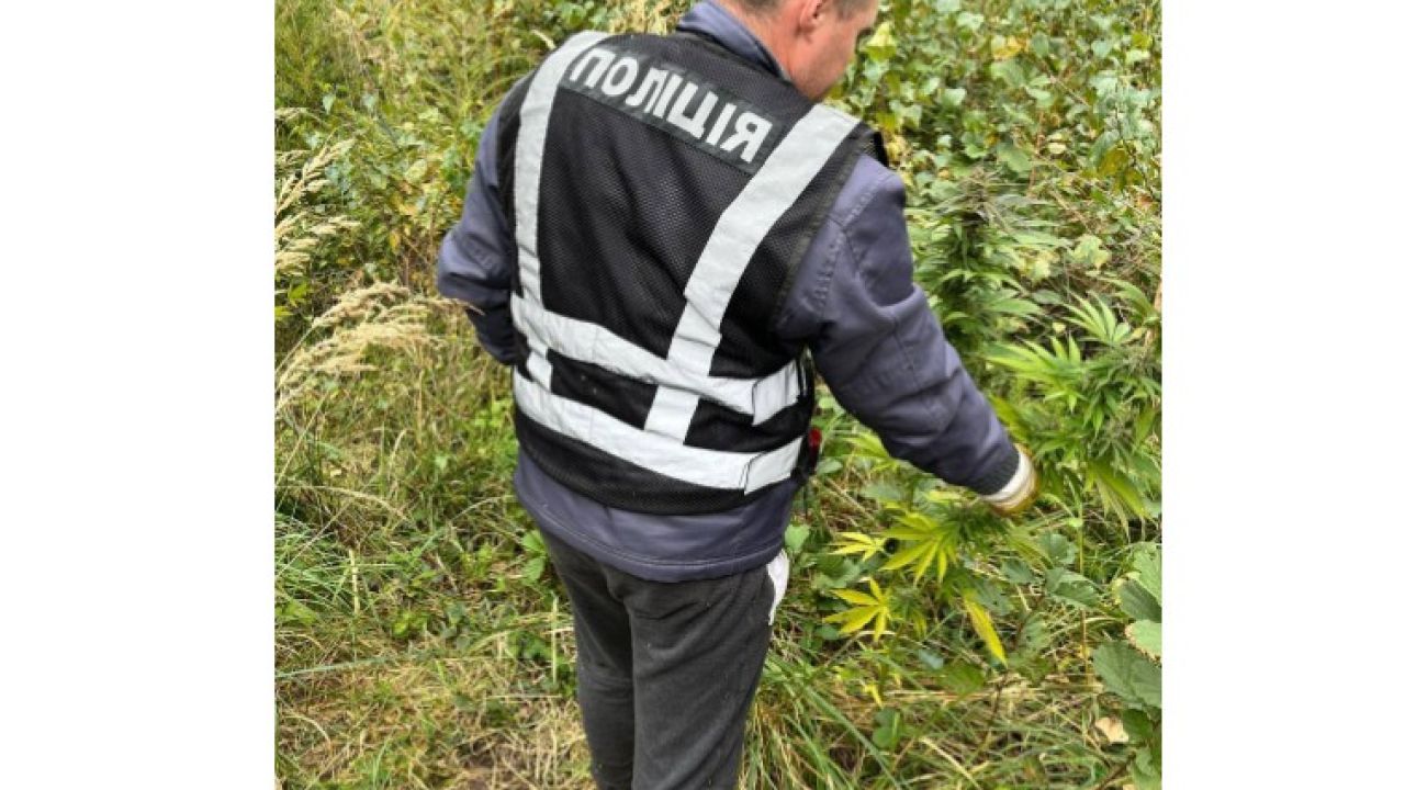 Фото до новини