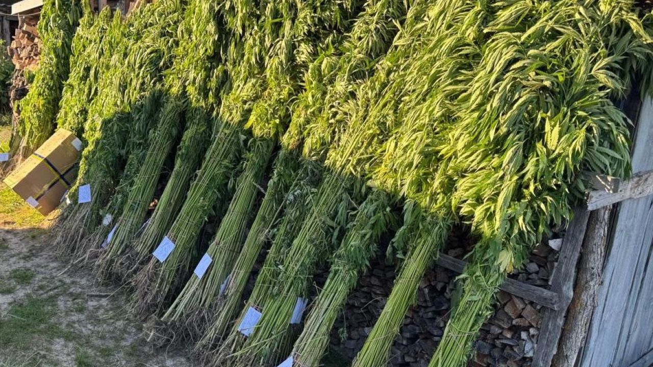 Фото до новини