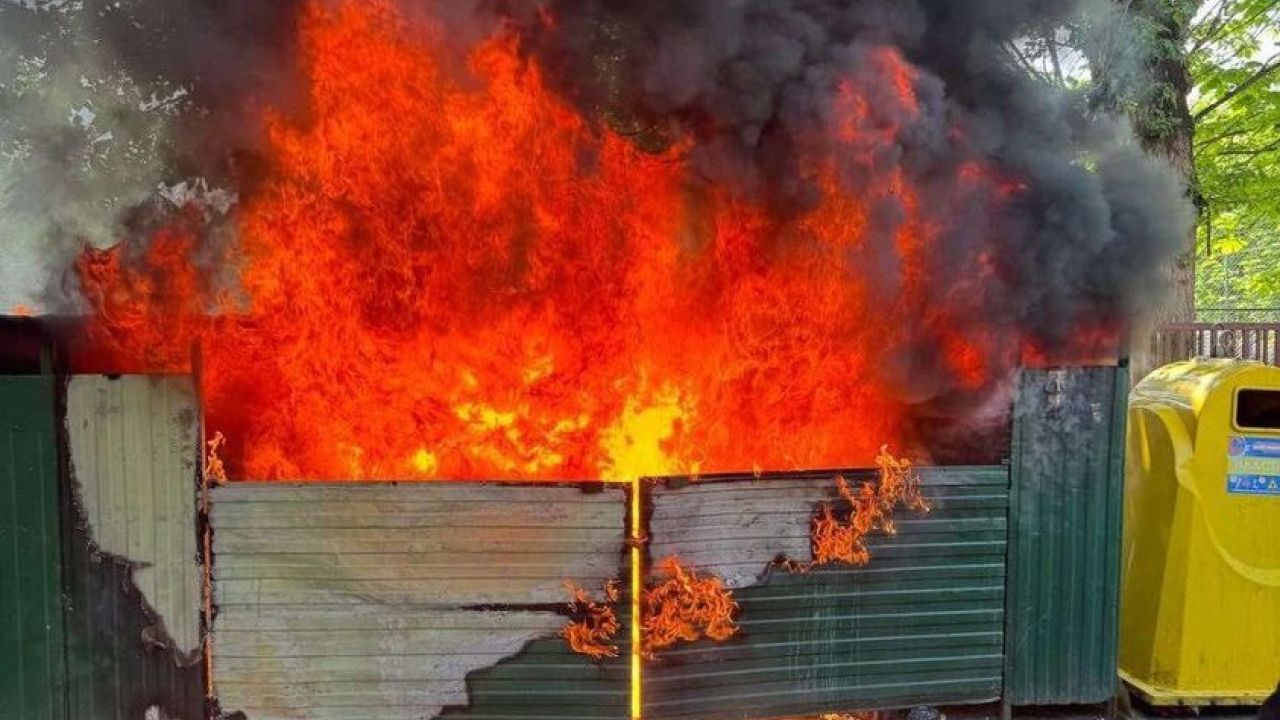 Фото до новини