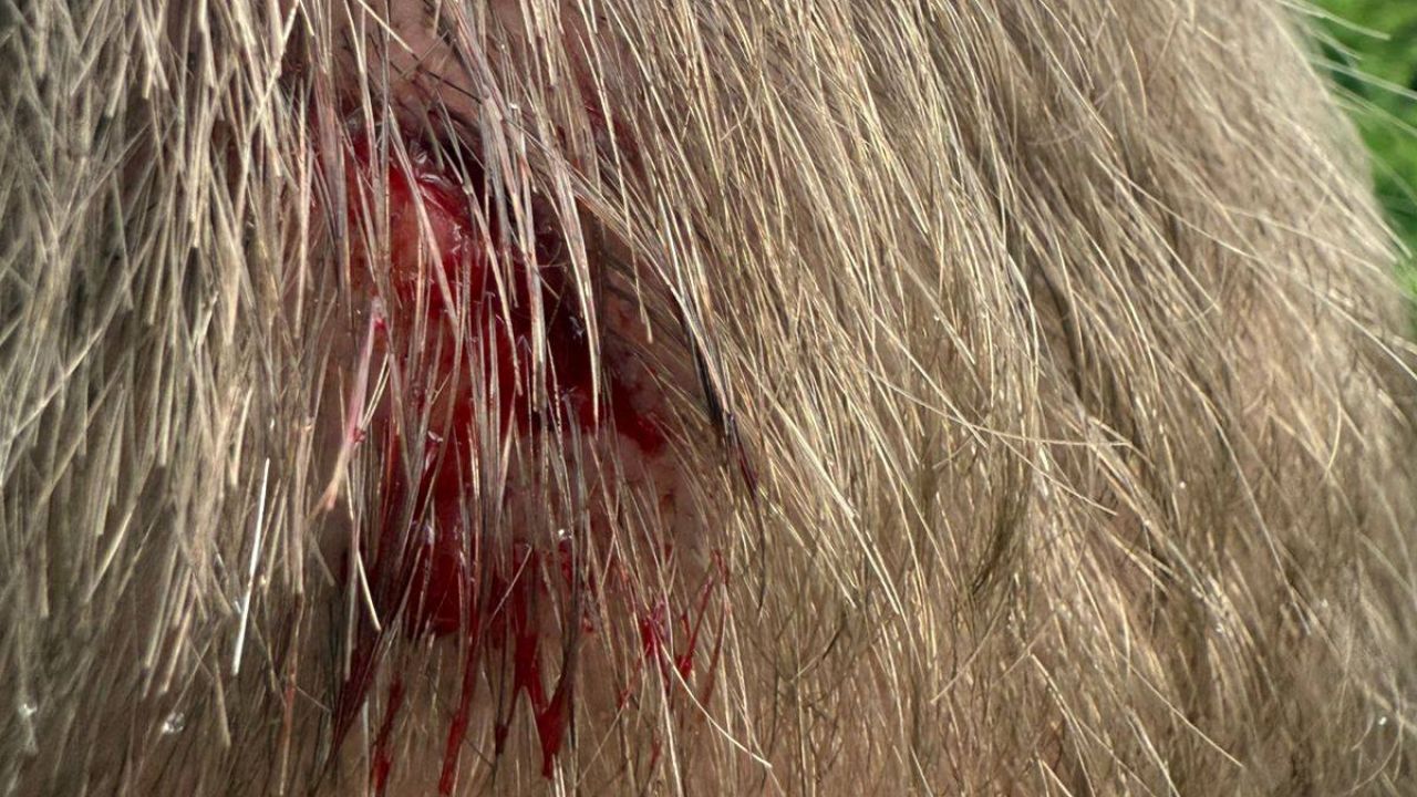 Фото до новини