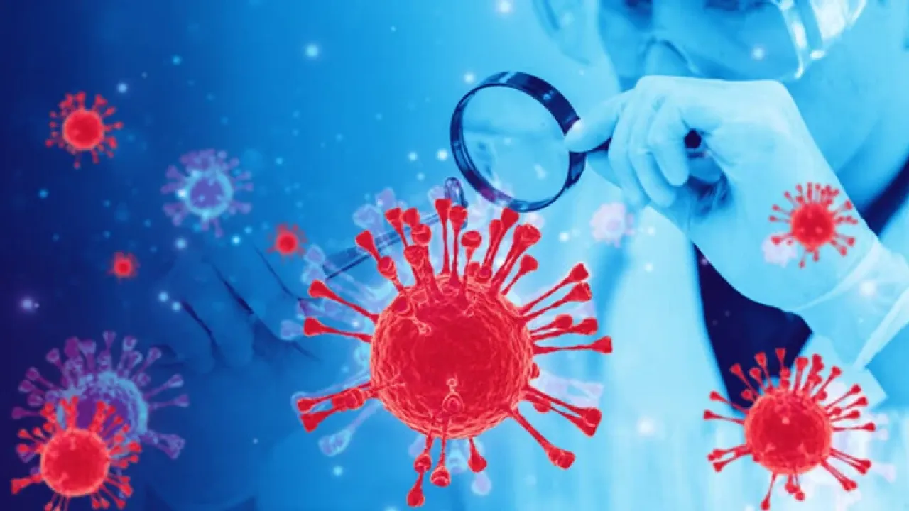 Фото до новини