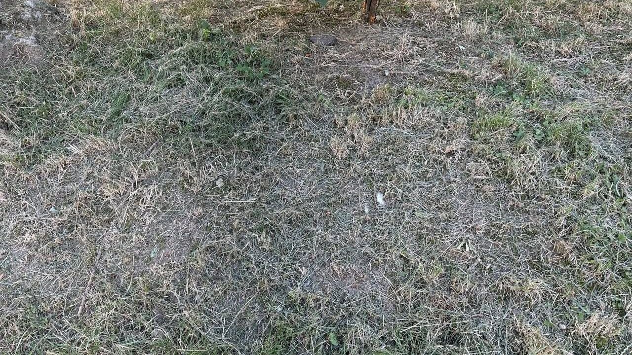 Фото до новини