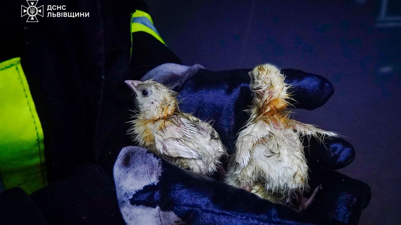 Фото до новини