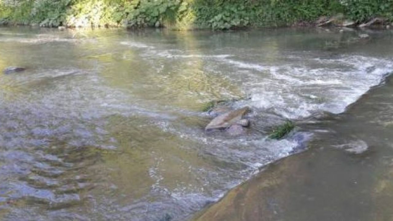 Світлина з архіву