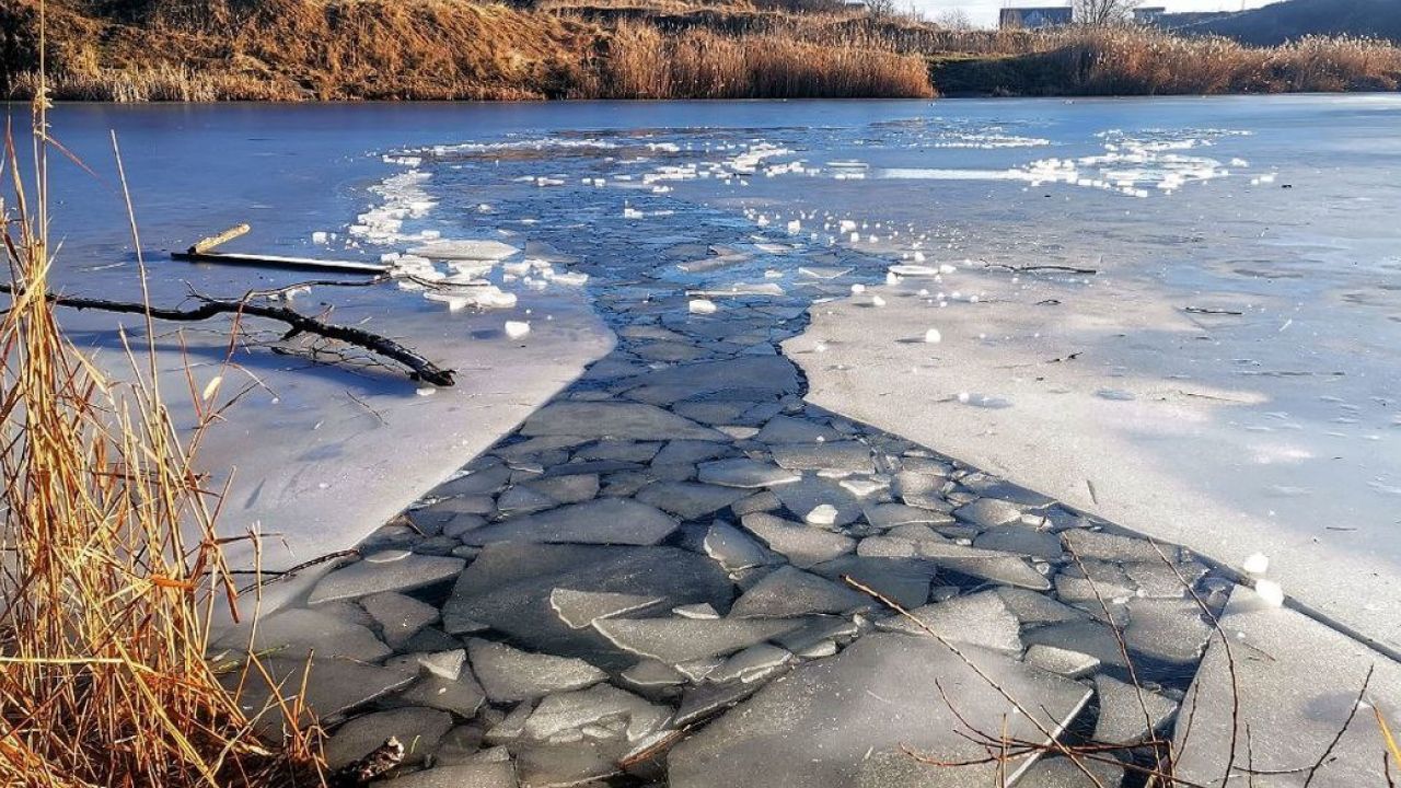 Фото до новини