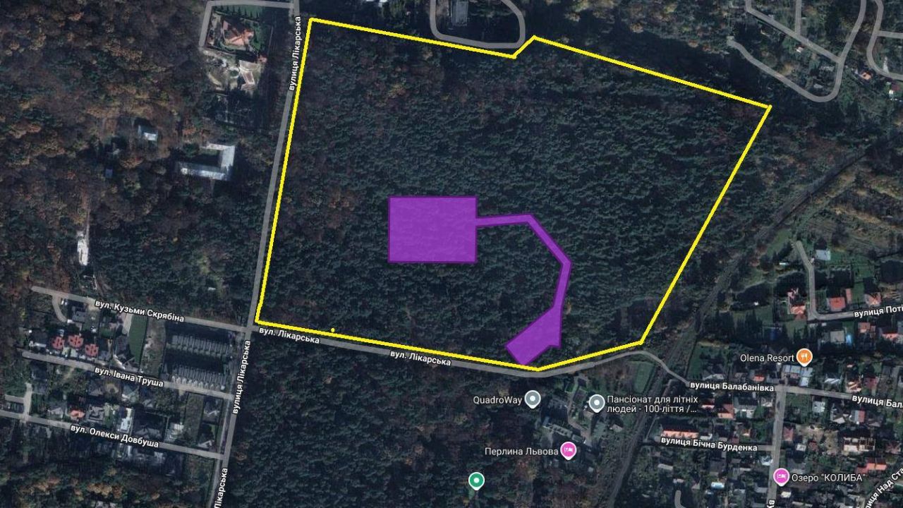 Жовтим кольором виділена ділянка у постійному користуванні ТОВ «Оріон-Експорт», фіолетовим – у власності (схема NGL.media)