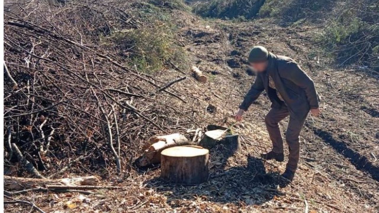 Фото до новини