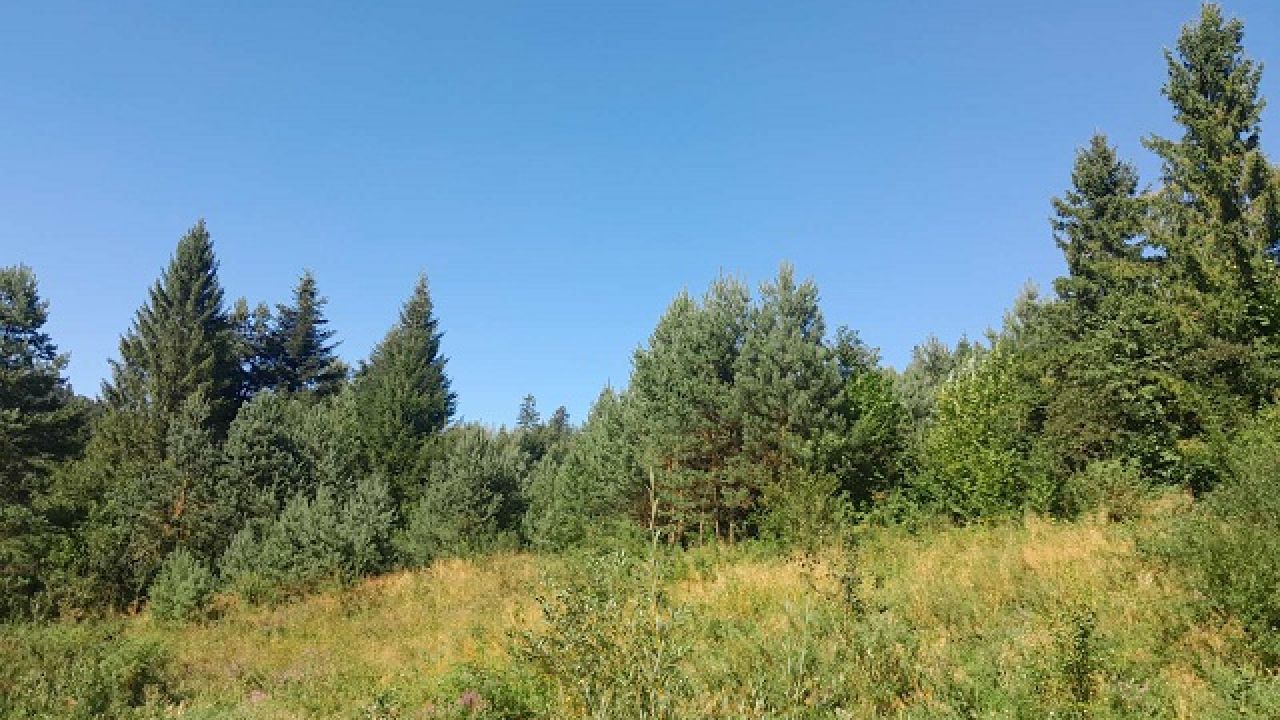 Фото до новини