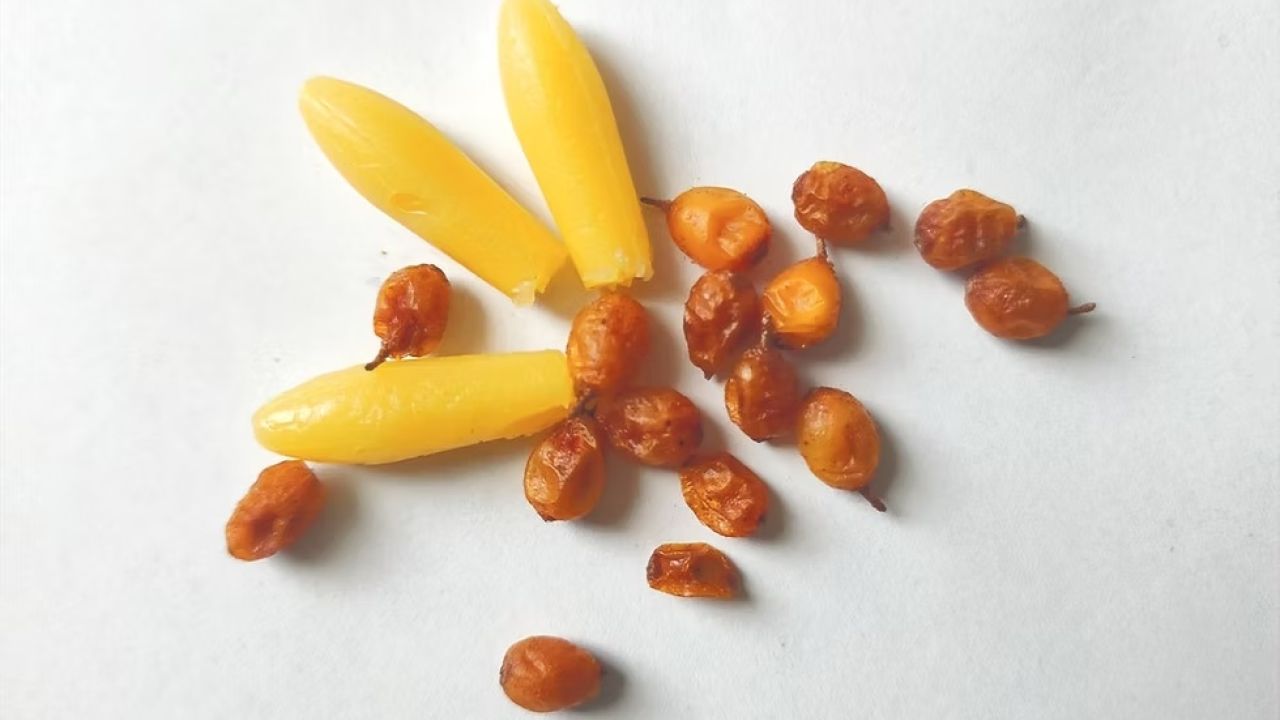 Фото до новини