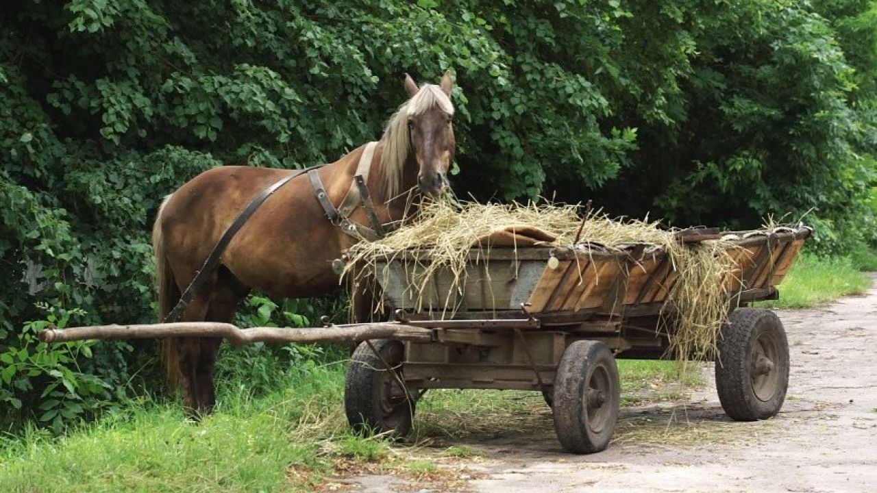 Світлина ілюстративна