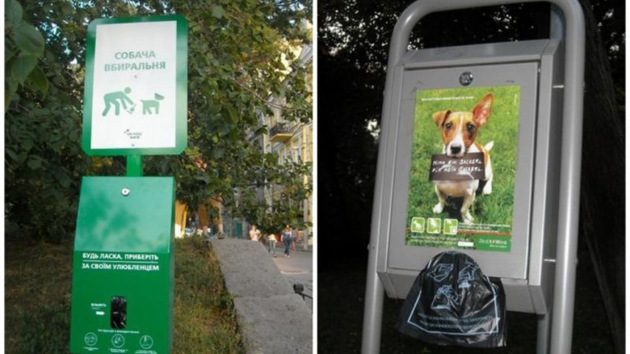 Фото до новини