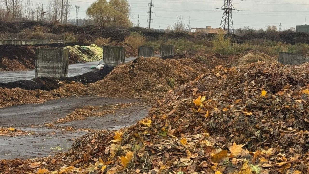 Фото до новини