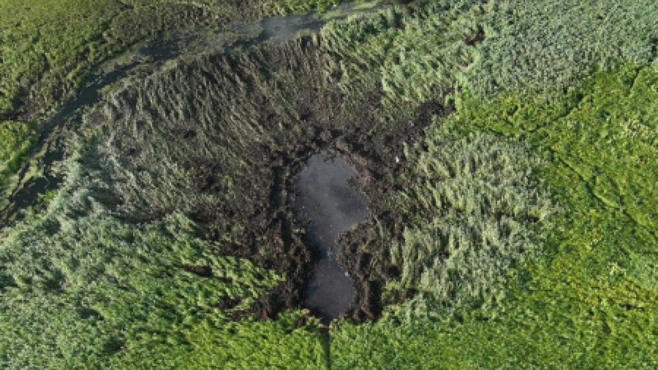 Фото до новини