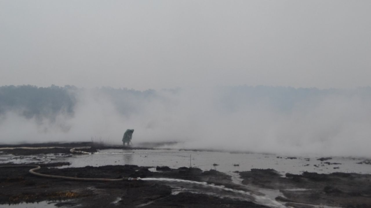 Фото до новини