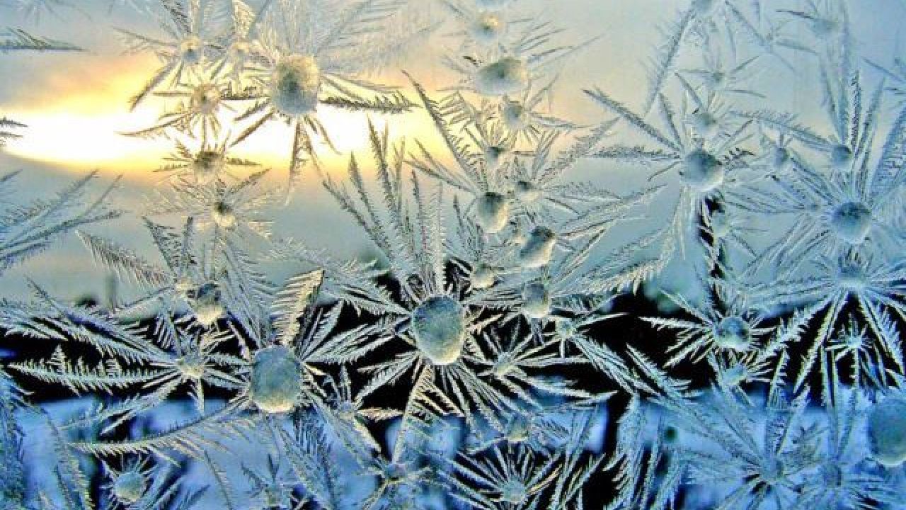 Фото до новини