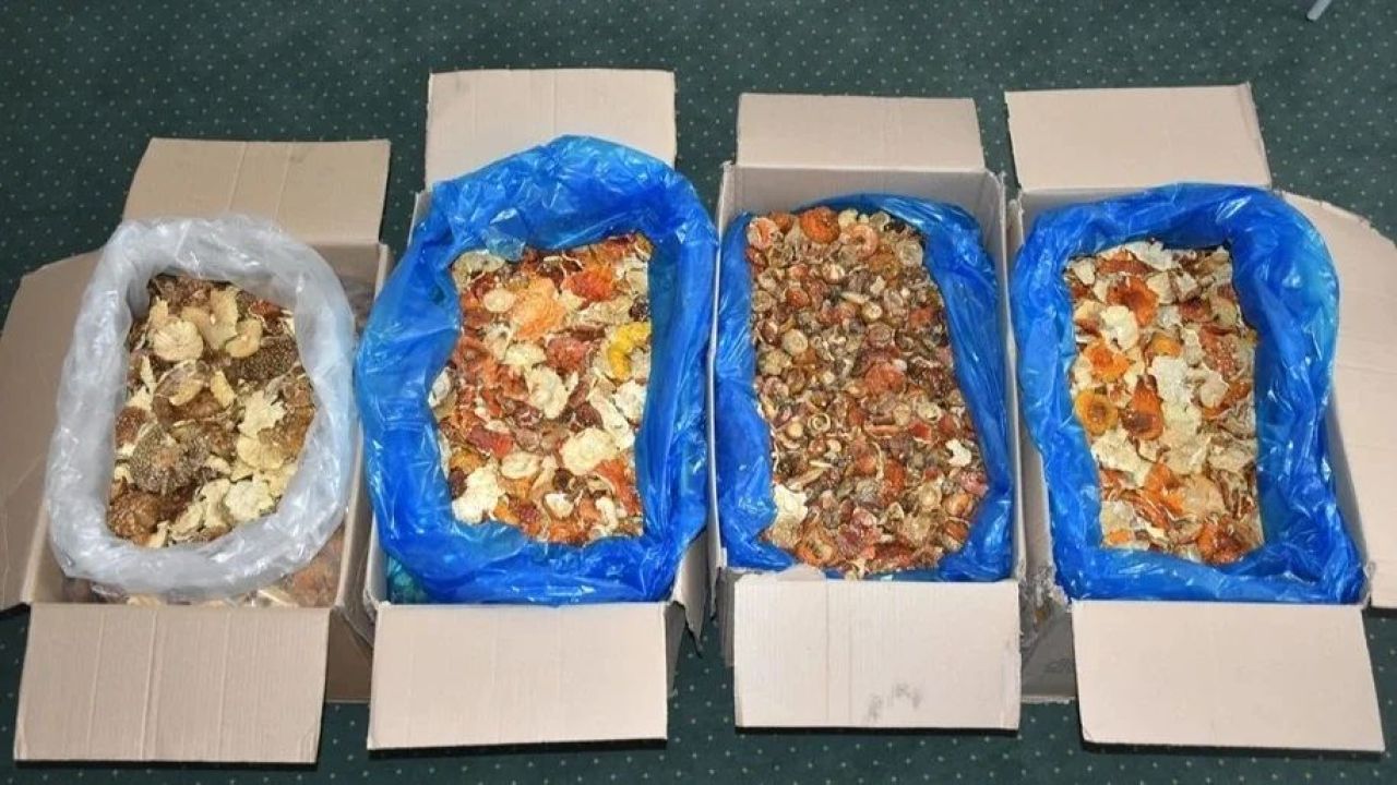 Фото до новини